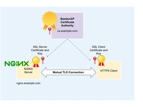 nginx smart card authentication|Configuring Nginx with client certificate authentication .